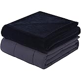 Dream Lab Plush 15lb Weighted Blanket with Removable & Washable Cover, Charcoal, 48" x 72"