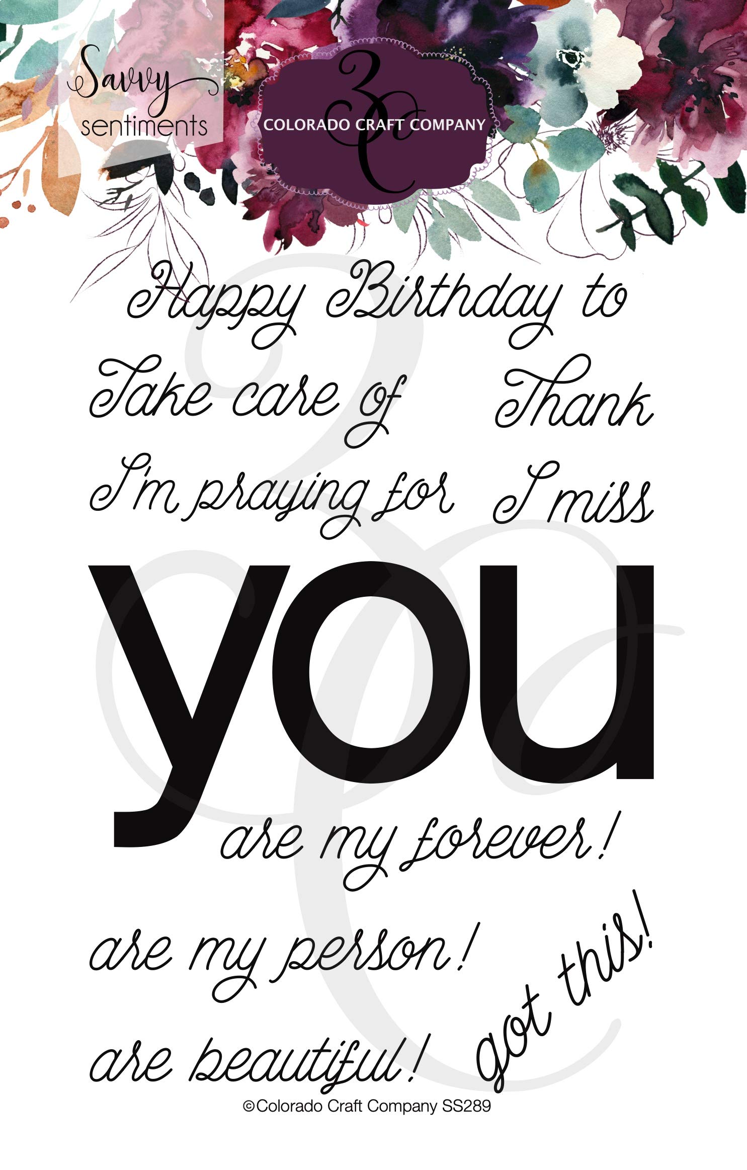 COLORADO CRAFT COMPANY Colorado Clear Stamp, Greetings-Savvy Sentiments, One Size