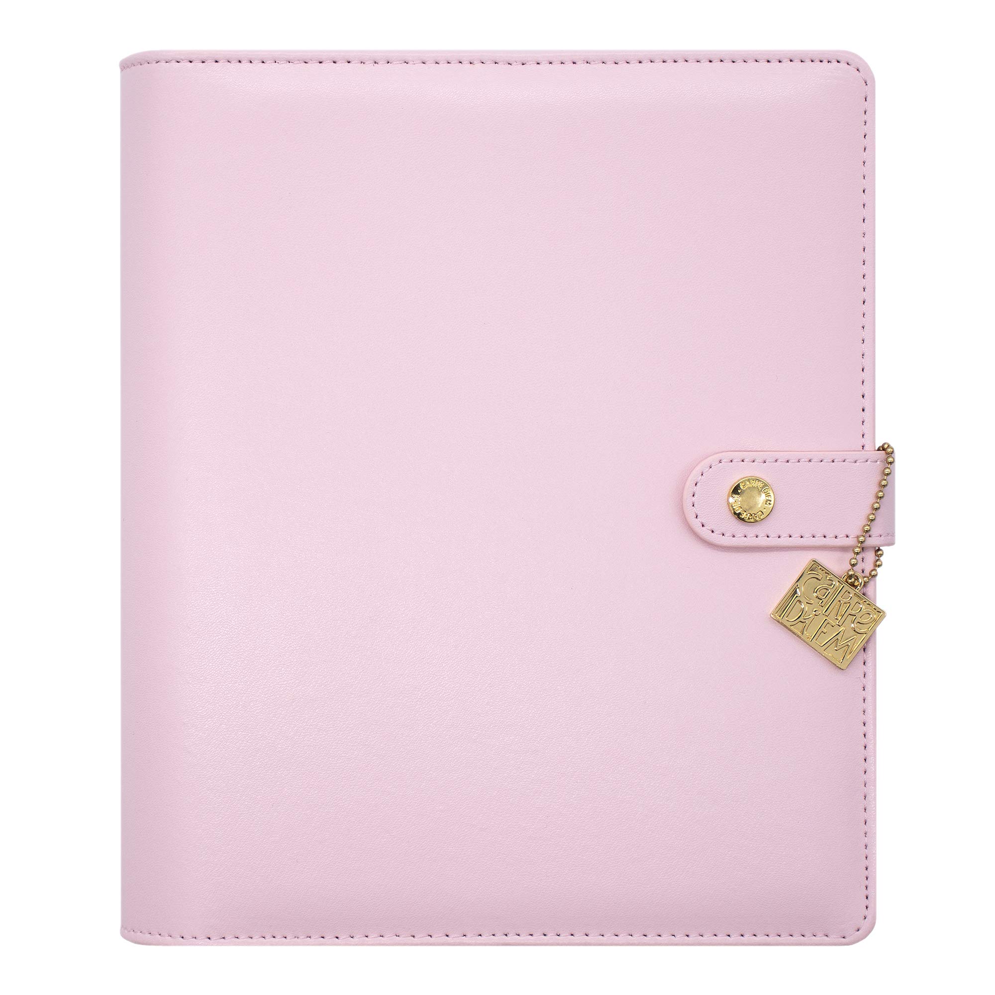 Pukka Pad Carpe Diem A5 Planner with Undated Weekly & Monthly Inserts, Dividers, Stickers & More - Faux Leather Cover with Internal Pockets & Gold Metal Ring Mechanism - 10 x 9.5 x 2in, Ballerina Pink