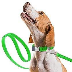 Randstark Biothane Waterproof Durable Dog Leash