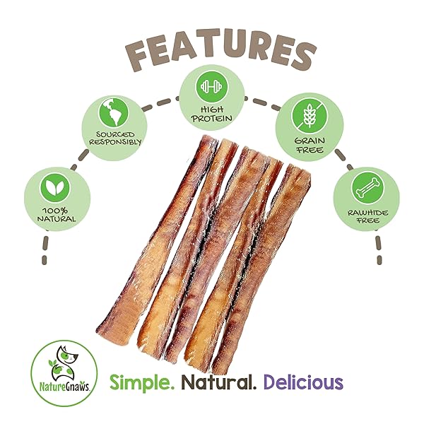 NATURE GNAWS EXTRA LARGE BULLY STICKS FOR DOGS 11-12″ (6 COUNT) – THICK LONG LASTING FOR AGGRESSIVE CHEWERS AND HEAVY CHEWERS – NATURAL BEEF DOG CHEW BONES