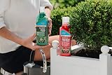Westland Buxus Feed & Protect 2 in 1 Concentrates 2 x 500 ml Green view 4