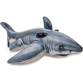 INTEX Inflatable Pool Float: Pool Toy for Kids
