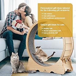 Cat Wheel, 43" L Large Cats Exercise Running