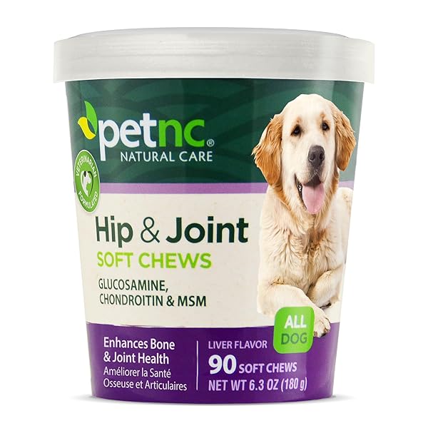 PETNC NATURAL CARE HIP & JOINT HEALTH SUPPLEMENT FOR DOGS (90 CHEWS), GLUCOSAMINE CHONDROITIN MSM DOG CHEWS WITH HYALURONIC ACID, LIVER FLAVORED BONE & JOINT SUPPORT SUPPLEMENT, FOR ALL BREEDS