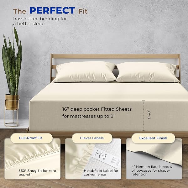 THREAD SPREAD CALIFORNIA KING BED SHEETS, LUXURY 1000 SERIES PARADISE COLLECTION 100% EGYPTIAN COTTON CAL KING SHEETS SET (4 PC, IVORY), SILKY SOFT, COOLING, 16″ DEEP POCKET HOTEL SHEET SET