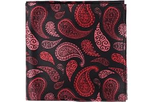 MANSPHIL Paisley Silk Pocket Square for Men, Suit Handkerchief for Tux Wedding Prom