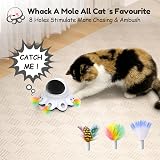GoldenSun 2-in-1 Automatic Cat Toy for Indoor Cats Black view 4