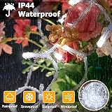 Ollny Christmas Tree Lights 10m 100 LED Remote IP44 Warm White view 4