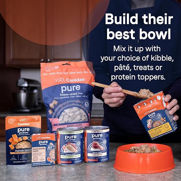 CANIDAE PURE DOG TREAT BISCUITS WITH SALMON & SWEET POTATO, 11 OZ, GRAIN FREE