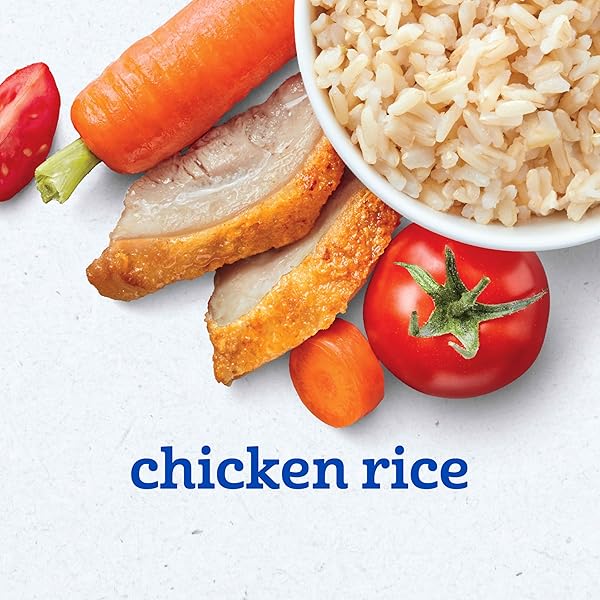 GERBER STAGE 2 BABY FOOD, CHICKEN RICE PUREE TUB, NOURISHING BLENDS, NO ADDED COLORS OR FLAVORS, BABY PUREE, 2-PACK