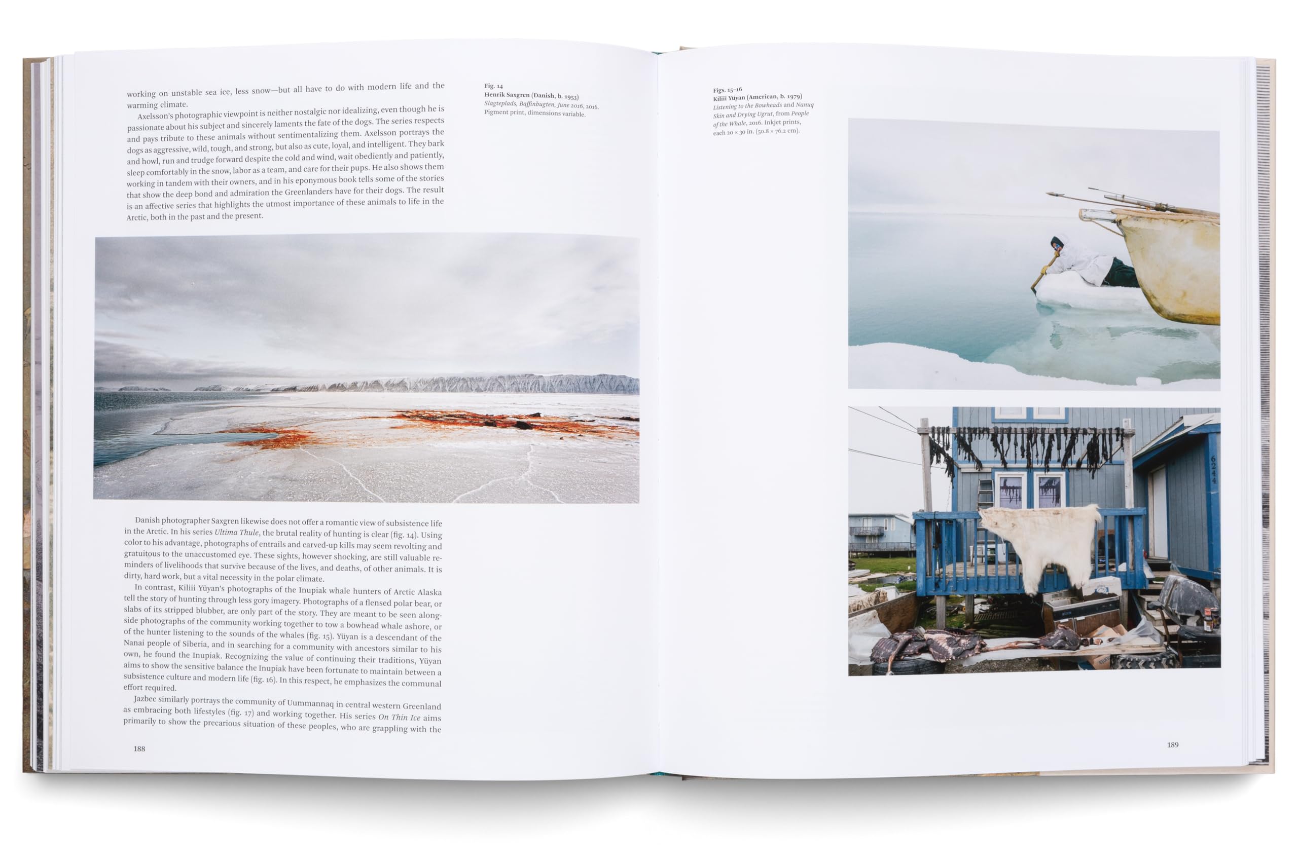 The Awe of the Arctic: A Visual History