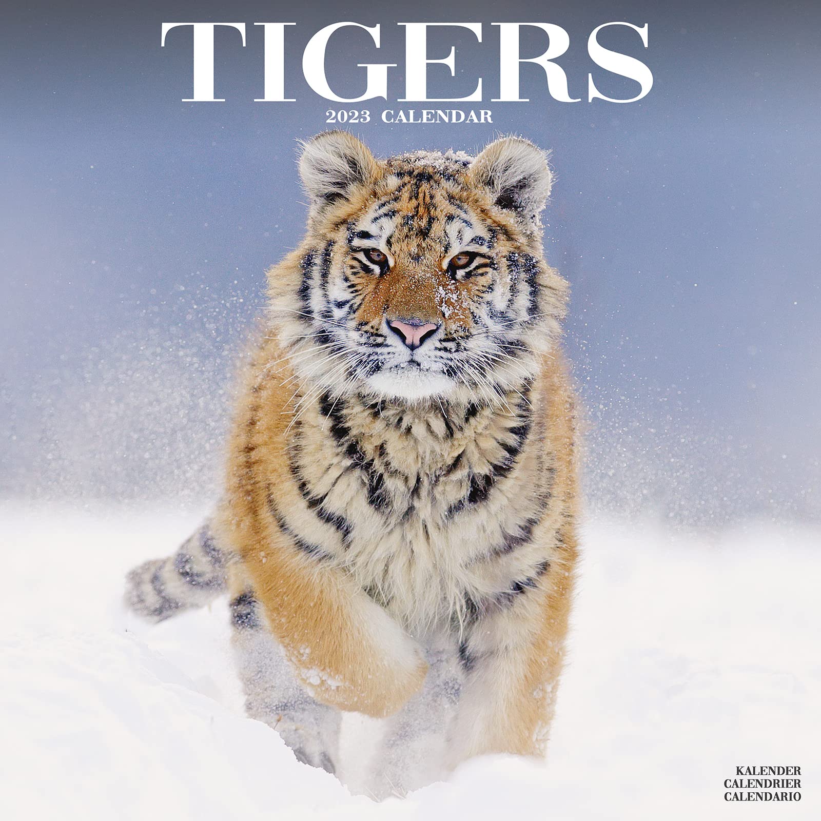 Calendrier 2023 Animaux Tiger Calendar - Calendars 2022 - 2023 Wall Calendars - Animal Calendar -  Tigers 16 Month Wall Calendar By Avonside: Megacalendars: 9781839418211:  Amazon.com: Books