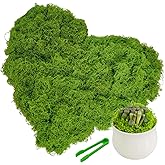 SoffMoiis Fake Moss Decor Potted Plants, 5.3OZ Light Green Artificial Moss for Crafts Faux Moss for DIY Crafts Model, Table Centerpieces, Plants Art Landscape, Gardening Decor, Fairy Garden-150g