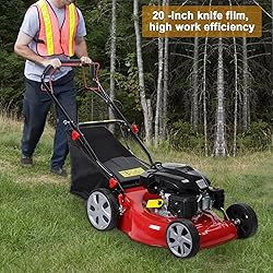 Self-Propelled Gas, 141cc Gas-Powered Push Mower