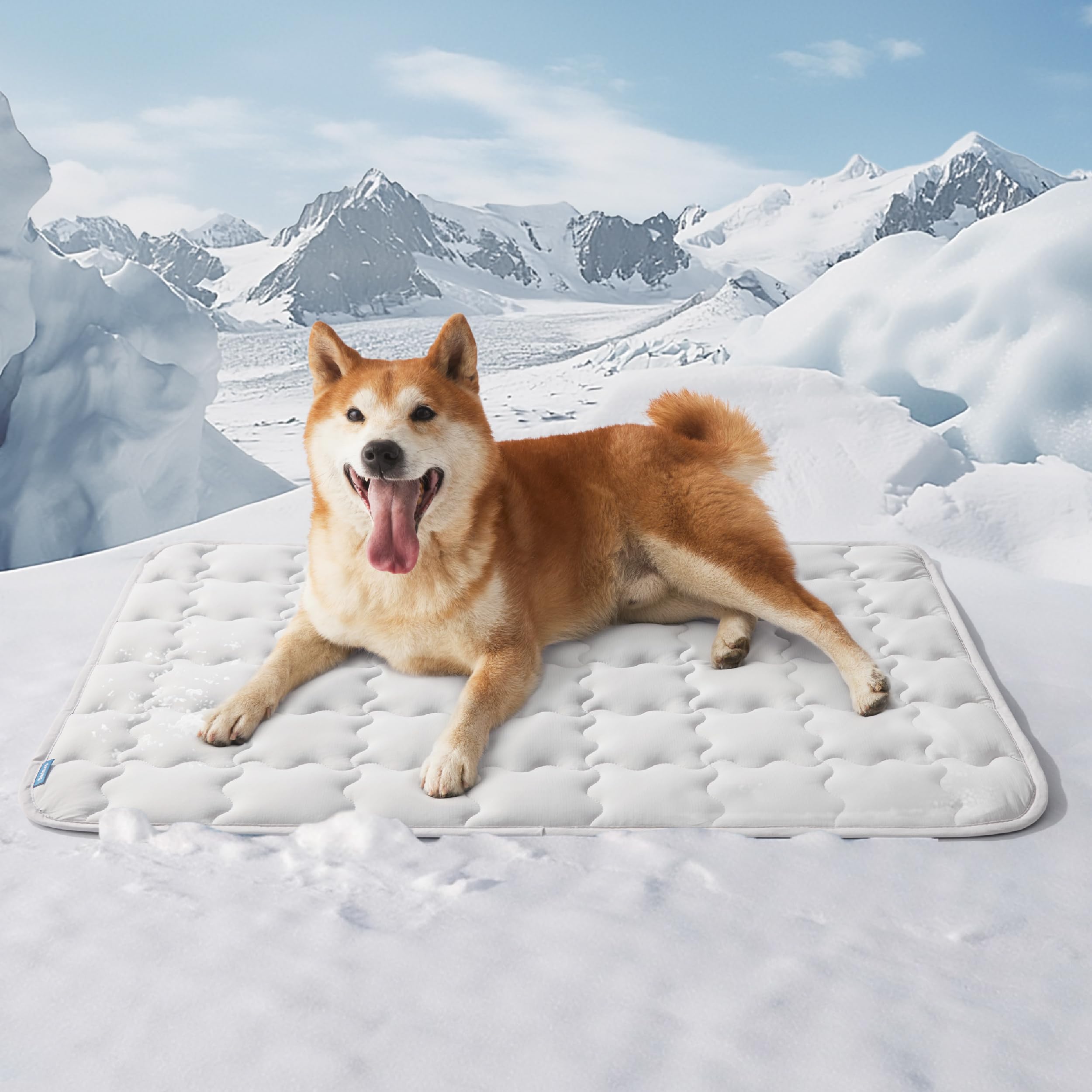 Photo 1 of Bedsure Cooling Mat for Large Dogs – 35x23 Thin Washable Cooling Pet Pad for Puppy, QMAX>0.5, Portable Kennel Puppy Bed for Summer, Non-Slip Summer Crate Pad for Big Dog Up to 50 lbs