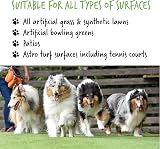 BUGALUGS Fresh Cut Grass Artificial Grass Cleaner 1L UK Cruelty Free view 2