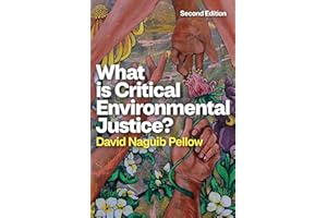 What is Critical Environmental Justice?