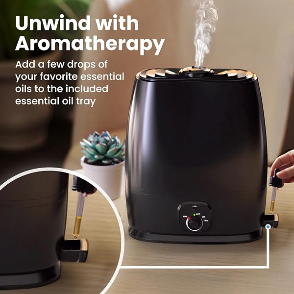 EVERLASTING COMFORT 6L HUMIDIFIERS FOR BEDROOM, QUIET 50HR RUNTIME NO-FILTER SUPERSIZED COOL MIST HUMIDIFIER LARGE ROOM FOR WHOLE HOUSE, PLANTS, BABY NURSERY, ALLERGIES, DRY SKIN, CONGESTION, INDOOR