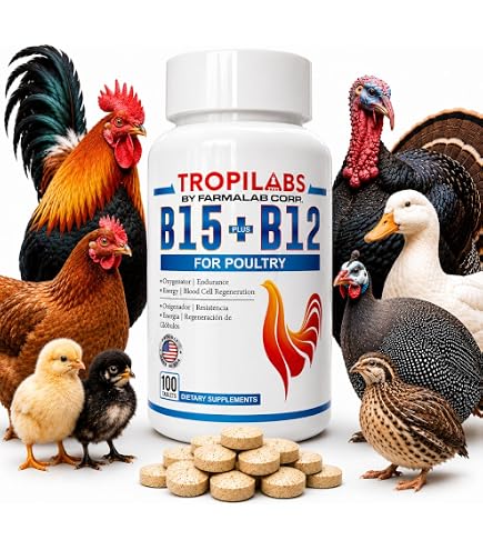 difen b12 injection uses  B12.   5   