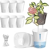 Vandorelle 8 Pack 4" Self Watering Pots for Indoor Plants, Clear Inner Cup, Small White Plastic Planters, Water Level Indicator, Drainage Holes, Extra 3ft Wick, Cuttings,Seedlings,Herb,African Violets