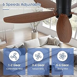 Surtime Ceiling Fans with Lights-48 Low Profile
