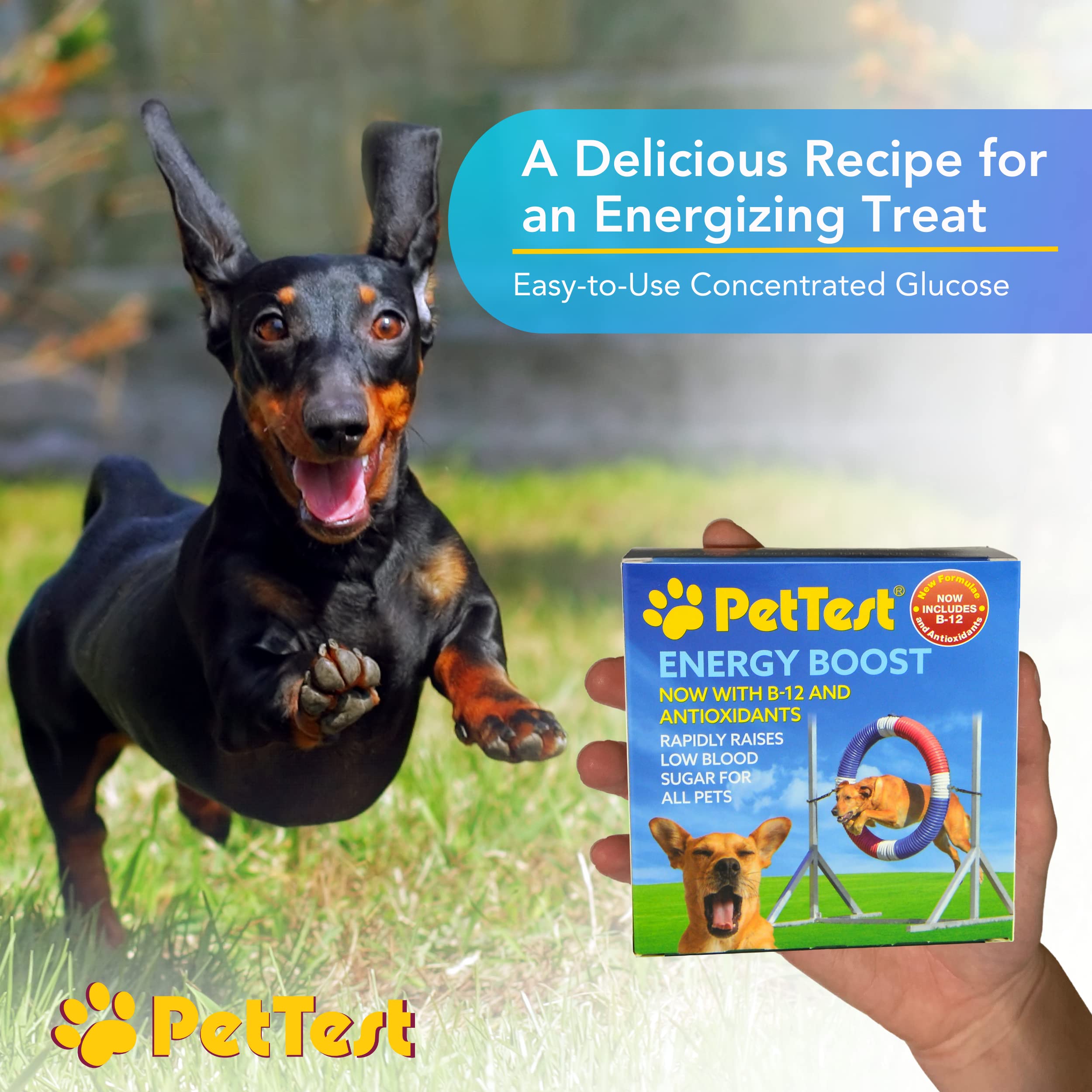 PetTest Energy Boost Glucose SOS 3x10ml Tubes for Pets, Instantly Increases Low Blood Sugar with B12 and Antioxidants, Fast Acting, Meat Flavoured, Rapid Recovery for Active or Diabetic Dogs & Cats