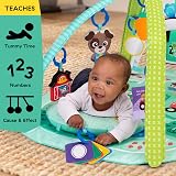 Baby Einstein Farm Explorers 4-in-1 Kickin’ Tunes Musical Meadow Gym view 8