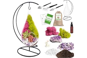 Creations by Nathalie 7" DIY Teardrop Terrarium Kit with Live Plants - Hanging Glass Planter with Stand for Adults & Kids - B