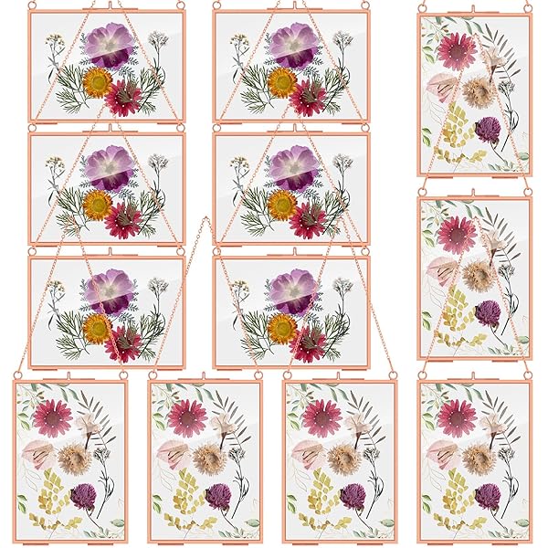 BARYDAT 12 PACK PRESSED FLOWERS GLASS FRAMES, 5...