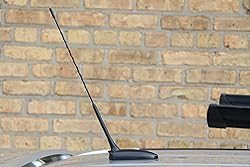 AntennaMastsRus - 16 Inch Screw-On Antenna is