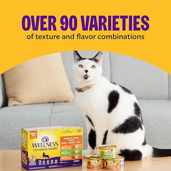 WELLNESS COMPLETE HEALTH GRAVY ADULT WET CAT FOOD, NATURAL, PROTEIN-RICH, GRAIN FREE, 3 OUNCE, 12 PACK, (TURKEY DINNER)