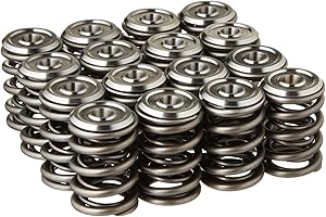 Skunk2 Racing 344-05-1300 Alpha Valve Spring and Titanium Retainer Kit for Honda B-Series Engines