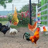 XMPEKO Chicken Coop Toys 6PCS Xylophone Swing Ladder Skewer Feeder Mirror Wood view 6