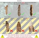 MothOut 10 Pheromone Clothes Moth Traps with Lavender Freshener Glow Pads view 2
