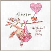 Aine A1029 Girl Birth Sampler Counted Cross Stitch Kit 7.75 x 7.75 in | 14 ct white Zweigart Aida, 11 Anchor cotton colors, beginner to intermediate, chart &amp; needle included, embroidery gift kit