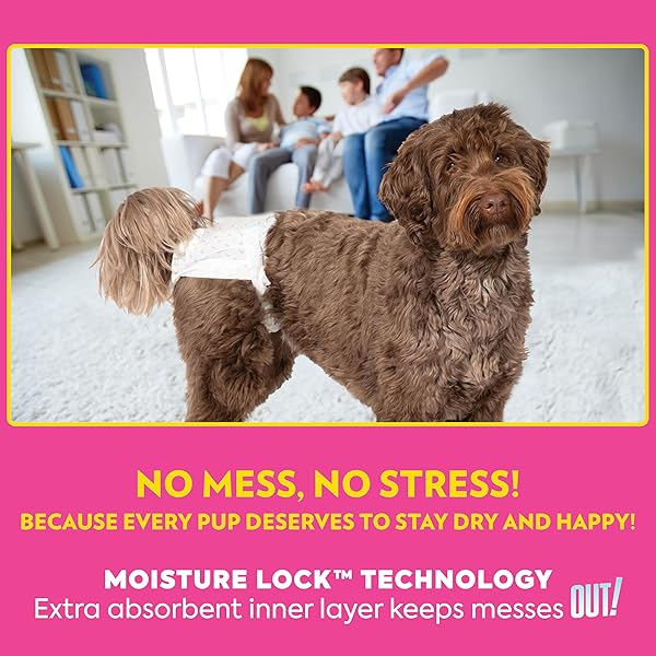 OUT! PETCARE DISPOSABLE DOG DIAPERS FOR FEMALE DOGS, DOG HEAT DIAPERS, FEMALE DOG PERIOD PADS, FEMALE DOGGY DIAPER FOR PEEING, PET DIAPERS FOR SMALL PETS,13”-18” WAIST, XS/SMALL, 16 COUNT