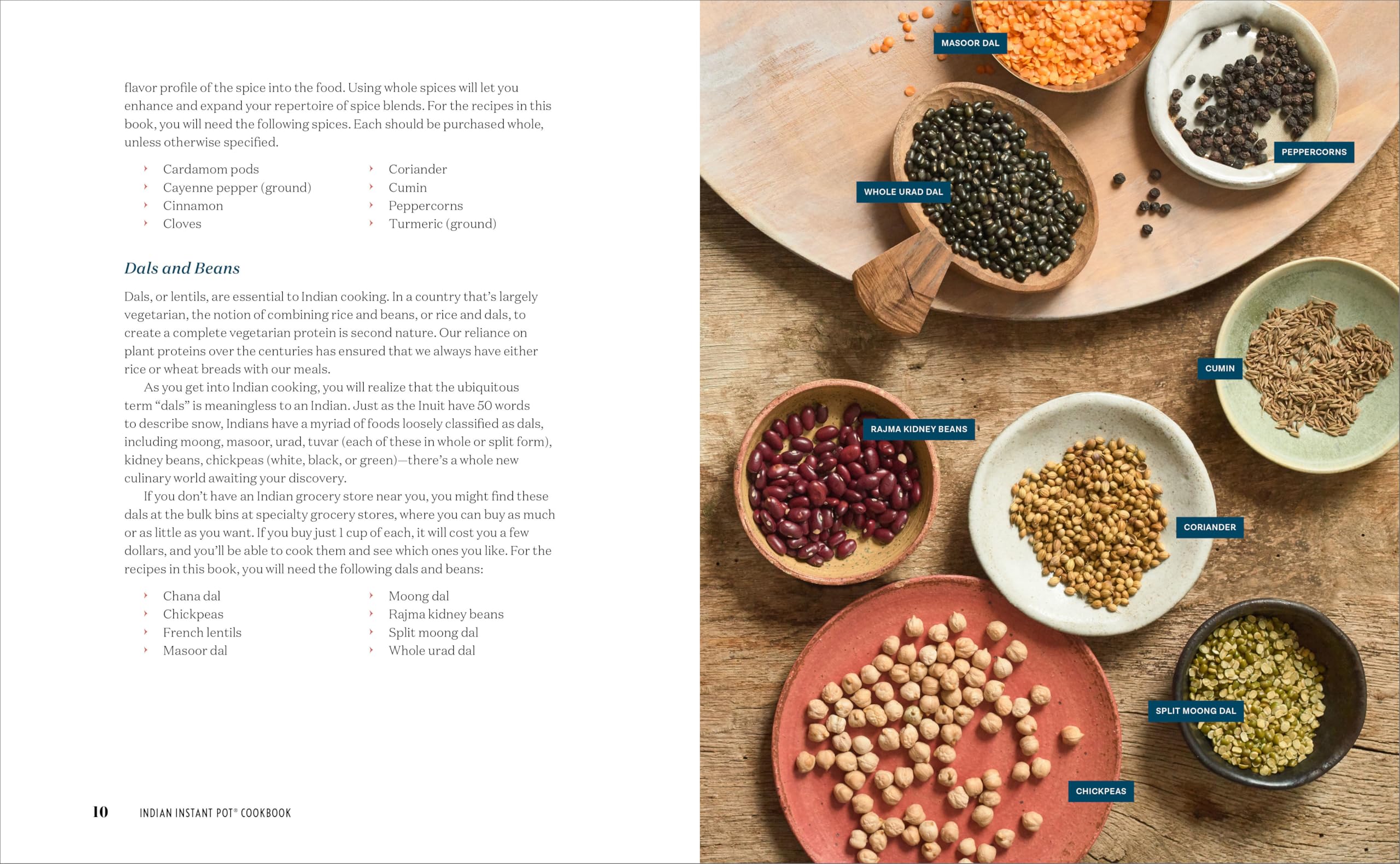 Indian Instant Pot(R) Cookbook: Traditional Indian Dishes Made Easy and Fast