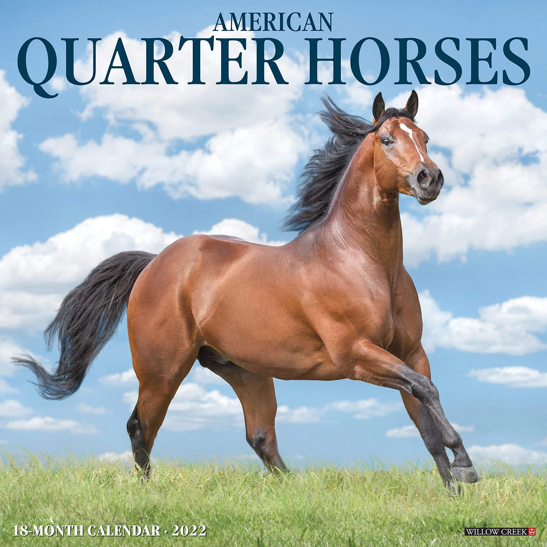 American Quarter Horses 2022 Wall Calendar: Willow Creek Press: 9781549216602: Amazon.com: Books