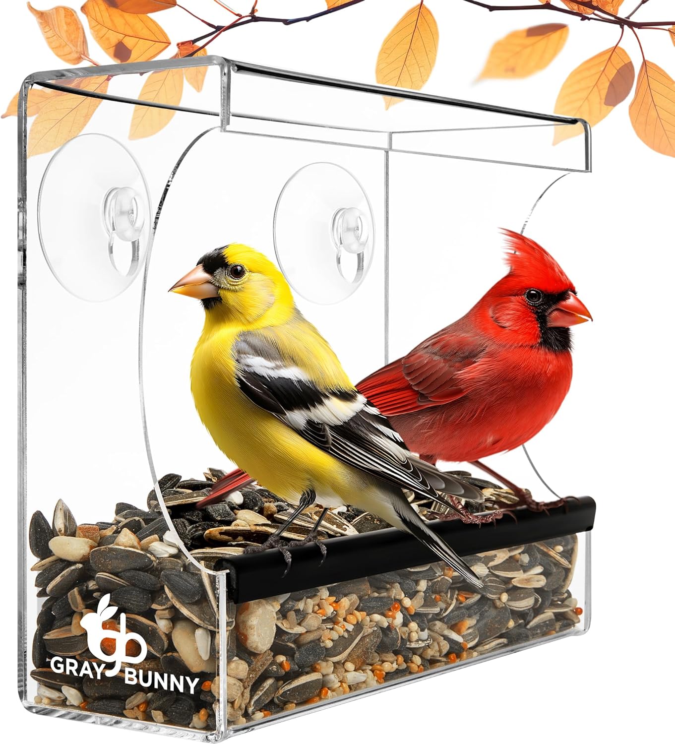Backyard Birding & Wildlife - Gray Bunny Clear Window Bird Feeder - Window Bird Feeders For Outside, Window Bird Feeders for Viewing with Strong Suction Cup, Transparent Bird Feeder for Window, Bird House Gifts for Mom, Dad