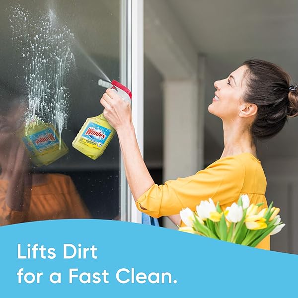 WINDEX MULTIPURPOSE CLEANER DISINFECTANT SPRAY BOTTLE, FAST CLEAN SURFACE CLEANER, CITRUS SCENT, 32 FL OZ