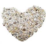 1600Pcs Shell Craft Buttons in Bulk Shell Buttons