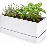 D'vine Dev Rectangular Planter, 12 x 6.5 in, White, 76-P-A-1 | Minimalist Design, Spacious Growing Area, Drainage Hole &amp; Saucer, Ideal for Succulent, Herbs, Vegetables, and Indoor Gardens