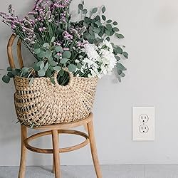 Questech Decor Outlet Cover, Insulated Single