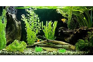 ZatiasMiller Aquarium Background Aquatic Plants Roots Stones Fish Tank Background Underwater Green Plants Branches Reptile Tank Background Under Water Jungle Style Aquarium Backdrop Wallpaper 24x12in