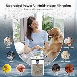 DAYETTE Air Purifiers for Home with H14 Hepa