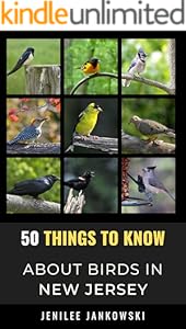 kindle best category lists