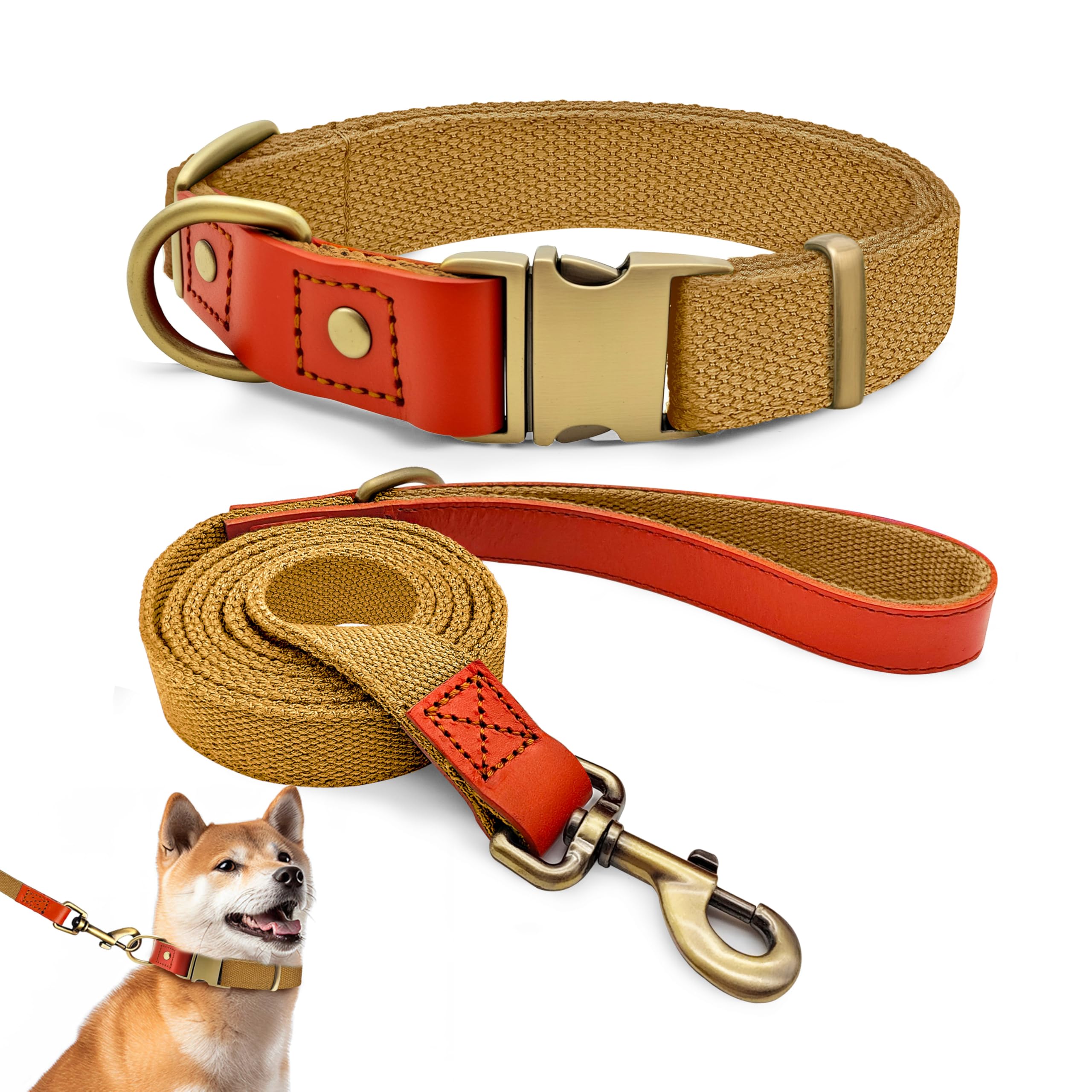 QRDA Dog Collar and Lead Set Khaki Colour Personalized Adjustable Tactical Belt for Small Dogs Medium Large Dogs, L