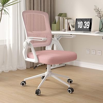 naspaluro Ergonomic Office Desk Chair with Height Adjustable Seat and Lumbar
