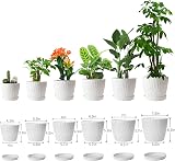 CSYY 6-Pack Plant Pots Indoor Outdoor Self Watering Tray view 2